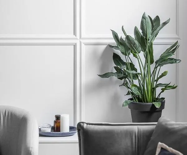 Blue16 By Oneapartments Apartment Danzig