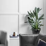 Blue16 Jelitkowo By Oneapartments Apartament Gdańsk
